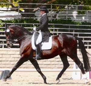 Jocelyn Hamann - Trainer