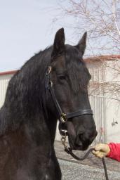 /media/uploads/generated/20110304_0021W_orig.jpg